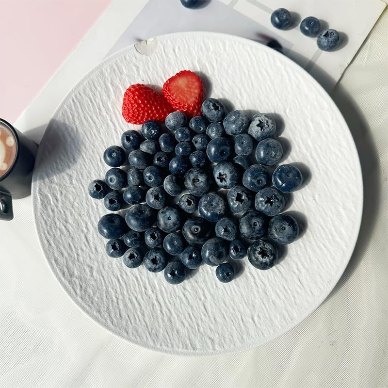 가짜 블루베리, 사실적인 인조 과일, 공예용 내구성 있 - Photography Food 리뷰 및 가격