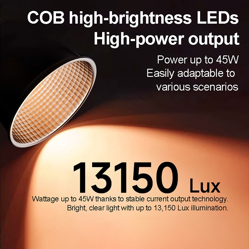 60W RGB 비디오 라이트 휴대용 LED 사진 스튜디 - Photography Natural Lighting 리뷰 및 가격