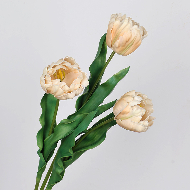 61CM 인조 앵무새 튤립 PU 소재 웨딩 신부 부케  - Photography Graduation 리뷰 및 가격